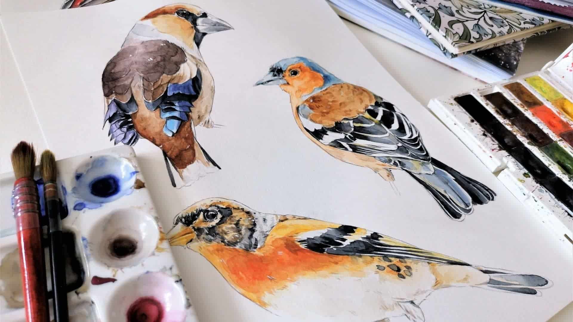 How To Paint A Bird In Watercolor